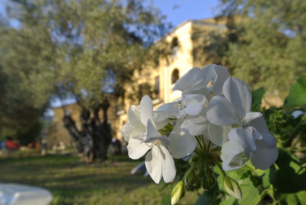 Maset Del Garraf Guest House Olesa de Bonesvalls ภายนอก รูปภาพ