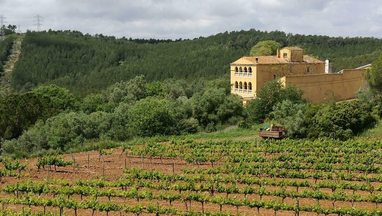 Maset Del Garraf Guest House Olesa de Bonesvalls ภายนอก รูปภาพ