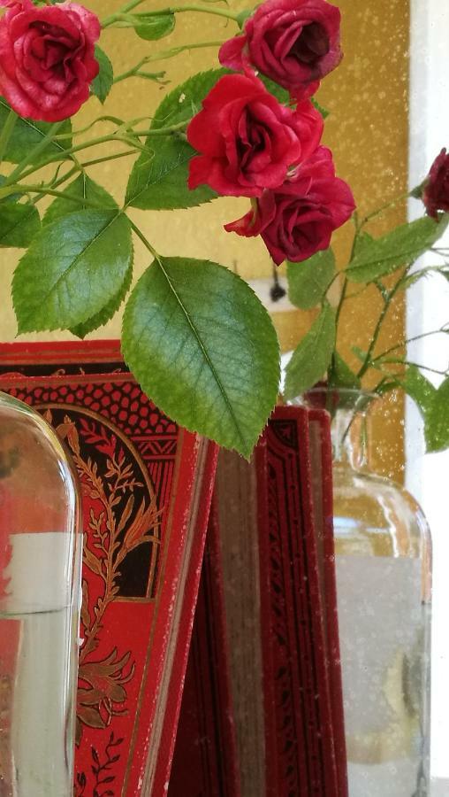 Maset Del Garraf Guest House Olesa de Bonesvalls ภายนอก รูปภาพ