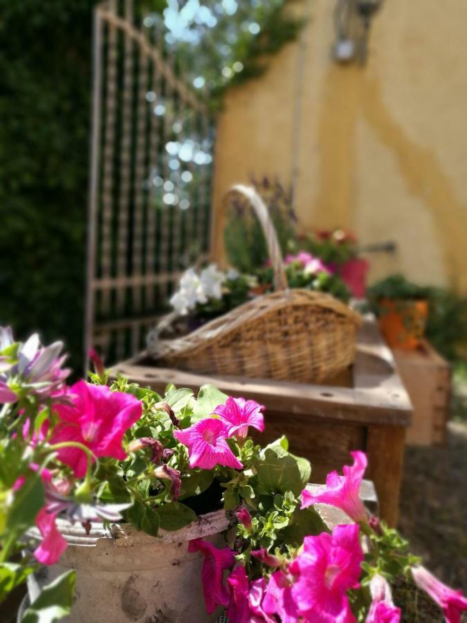 Maset Del Garraf Guest House Olesa de Bonesvalls ภายนอก รูปภาพ