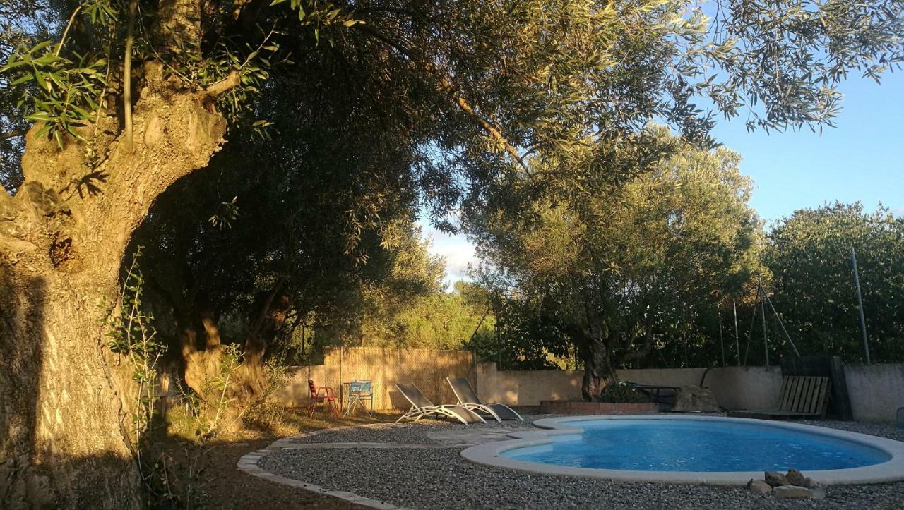 Maset Del Garraf Guest House Olesa de Bonesvalls ภายนอก รูปภาพ
